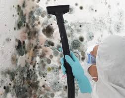 Why You Should Choose Our Mold Remediation Services in Eureka, MT